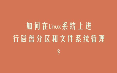 如何在Linux系统上进行磁盘分区和文件系统管理？
