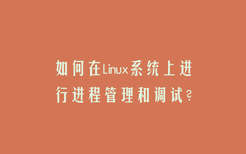 如何在Linux系统上进行进程管理和调试？